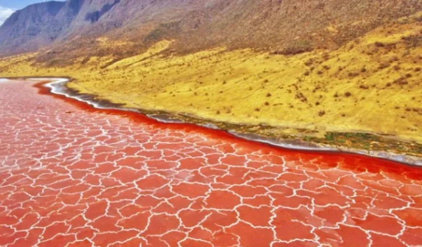 Superlativele mapamondului. Fenomenele incredibile ale naturii. Lacul Morţii – apa care împietreşte orice creatură VIDEO