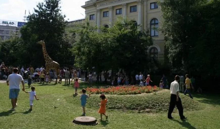 Proiectul „Porţi deschise”: Vizite gratuite la muzee pentru elevi în Bucureşti în perioada 1-15 august