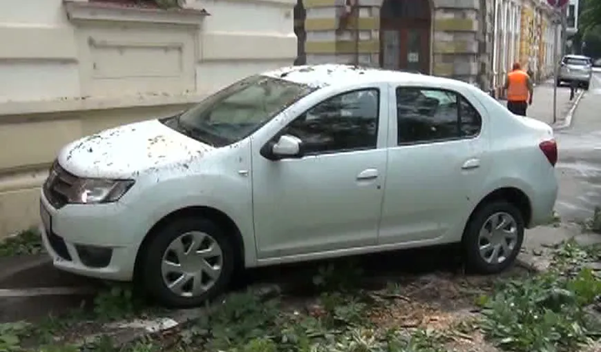 Furtună în Oradea. Mai multe străzi au fost inundate, iar câteva maşini au fost distruse de copacii doborâţi