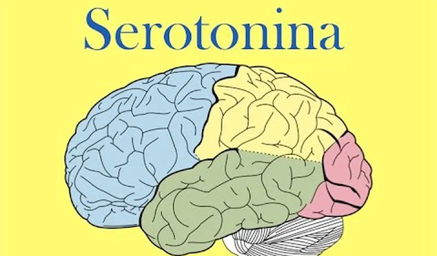 Cum sa creşti nivelul de serotonină din creier