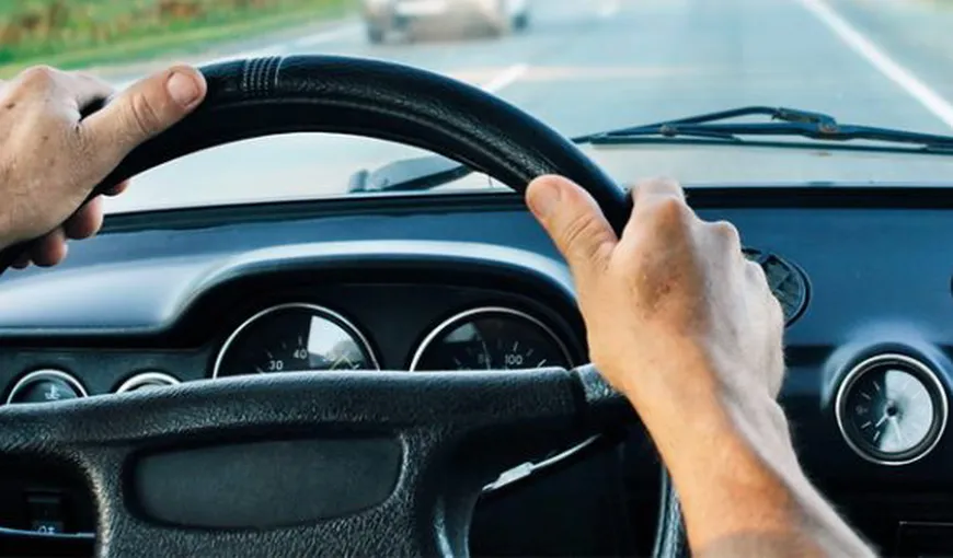 STUDIU: Şoferul, cea mai căutată ocupaţie a momentului