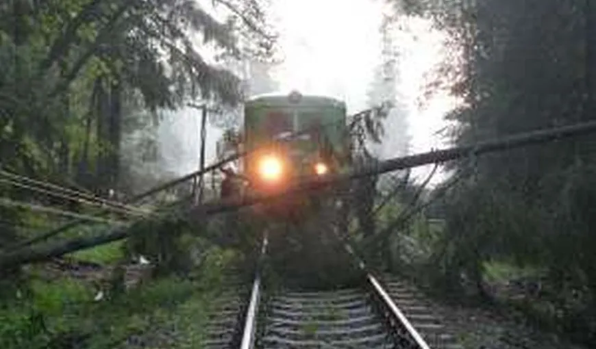 Circulaţia trenurilor spre şi dinspre Braşov, blocată din cauza unor copaci. Traficul a fost blocat şi în Harghita