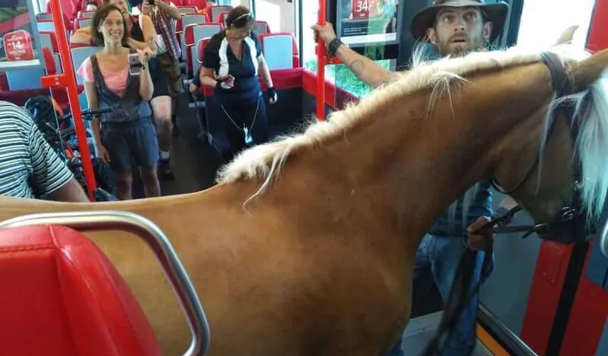 Un bărbat s-a urcat cu calul într-un tren regional. Reacţia controlorului a fost FABULOASĂ