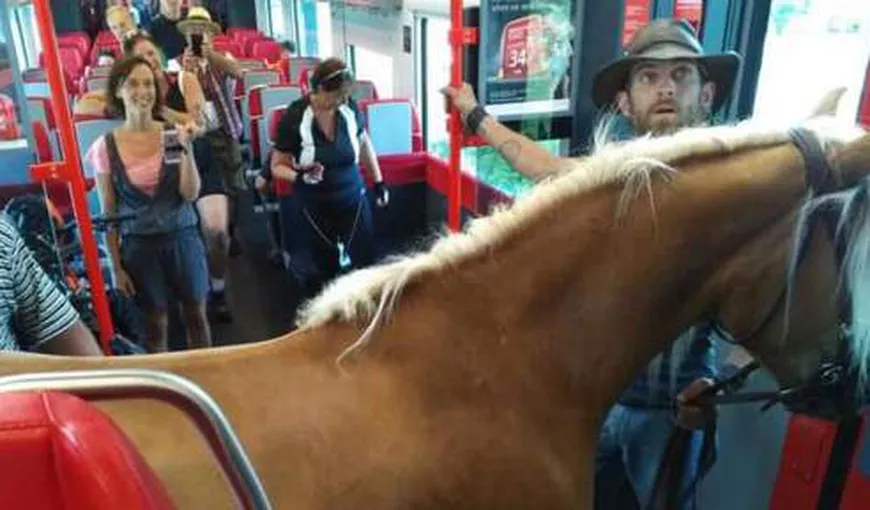 S-a urcat în tren cu calul. Ce a urmat este de poveste