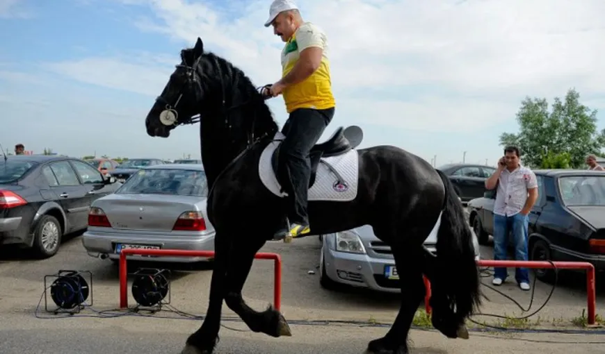 DNA anchetează cum au ajuns caii lui Nuţu Cămătaru la defilarea de 1 Decembrie 2011