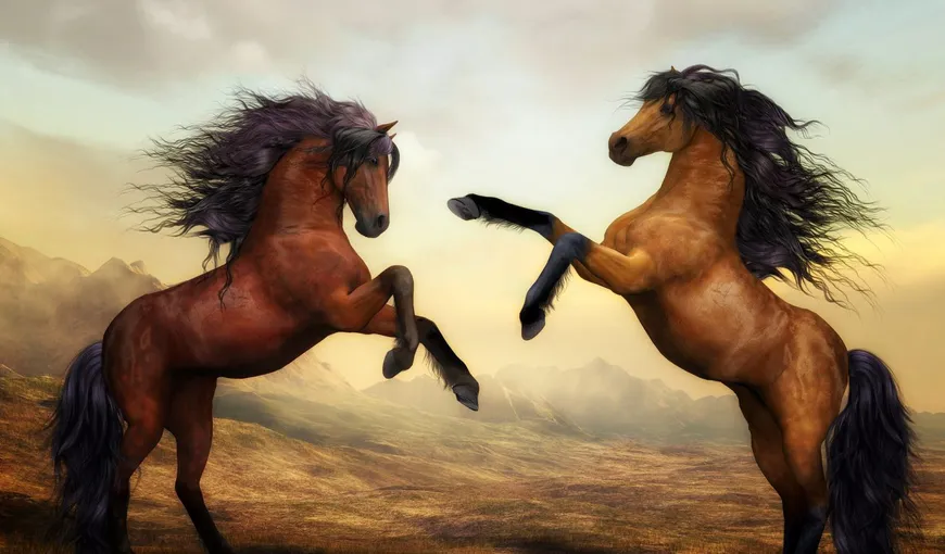 Ce înseamnă când visezi cai. Semnificaţii în funcţie de culoare. Interpretarile lui Freud şi Jung