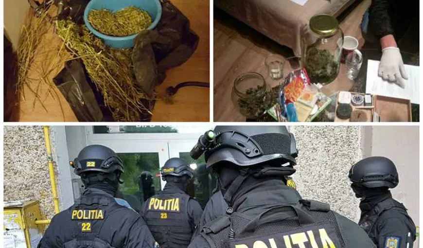 Patru tone de droguri confiscate în dosare penale în ultimii ani, distruse de Poliţie VIDEO