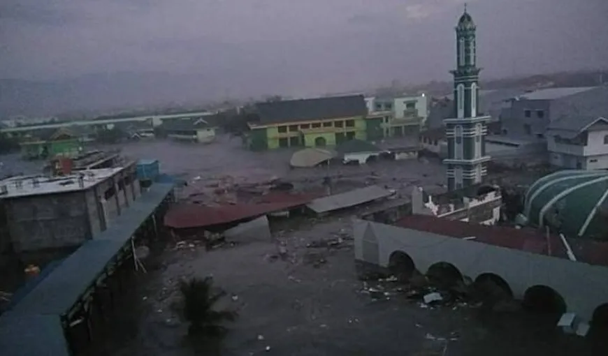 CUTREMUR, urmat de tsunami. Previziuni sumbre ale Mariei Ghiorghiu