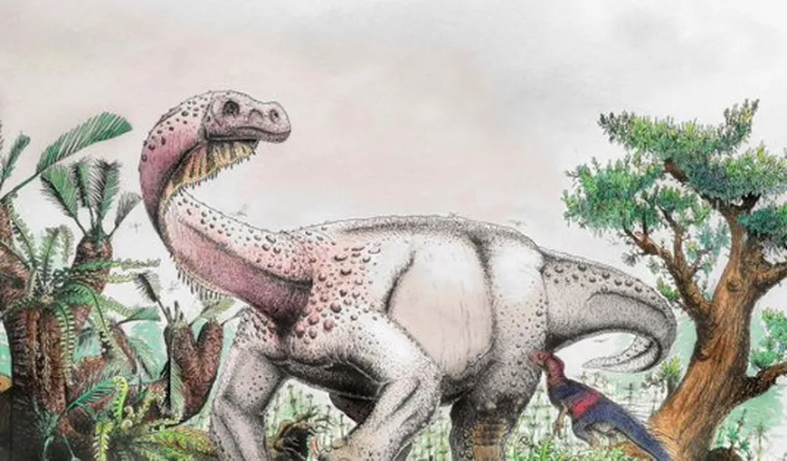 Sesotho, uriaşul din Jurassic. O nouă specie de dinozaur gigant a fost găsită de cercetători