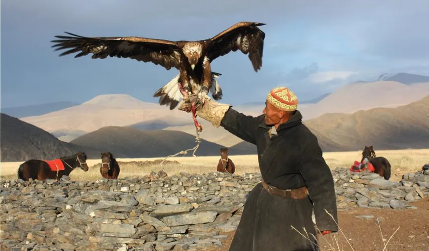Un vultur auriu a vrut să răpească o fetiţă de 8 ani, în timpul unei demonstraţii de vânătoare cu acvile. Imagini cu momentul VIDEO