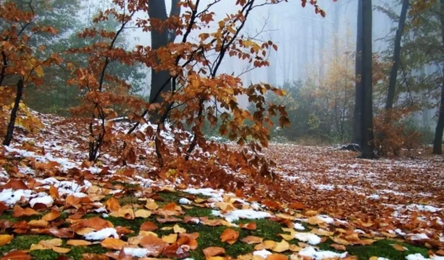 Vremea se răceşte în toată ţara. Ninsori şi viscol la munte. Prognoza meteo pentru intervalul 22 octombrie – 4 noiembrie