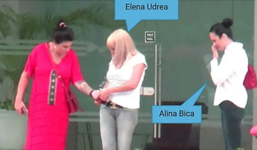 Elena Udrea şi Alina Bica au făcut recurs la Tribunalul Constituţional din Costa Rica