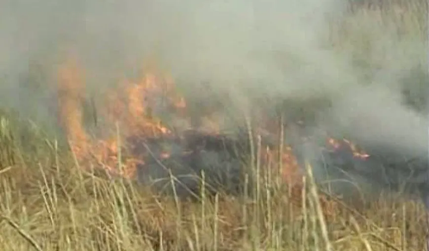 Incendii de vegetaţie în Bihor. Doi oameni au suferit arsuri grave