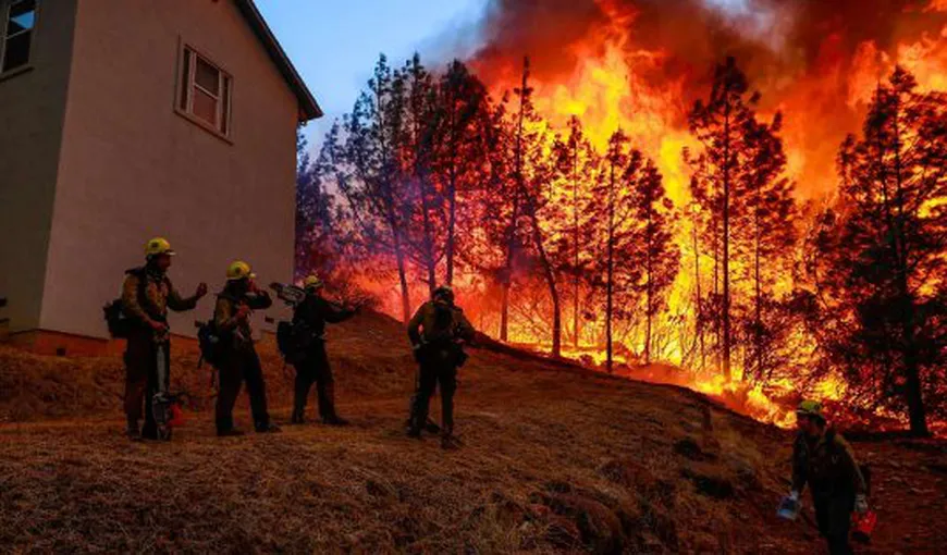 Incendiile din California provoacă distrugeri incredibile. Sunt deja 59 de morţi şi peste 130 de dispăruţi VIDEO