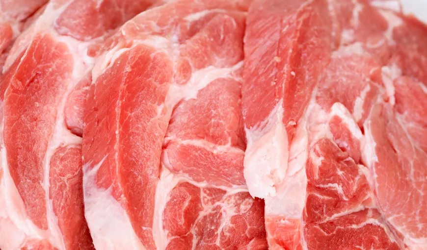 CUM RECUNOŞTI porcul afectat de pestă, ce se întâmplă dacă mănânci carne infestată