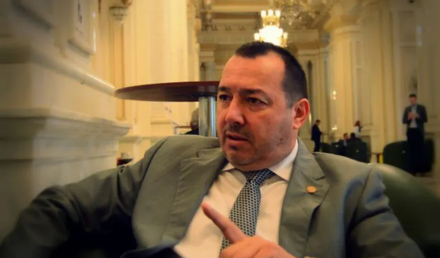 Cătălin Rădulescu: „Domnul Timmermans a intervenit în politica internă a ţării noastre”