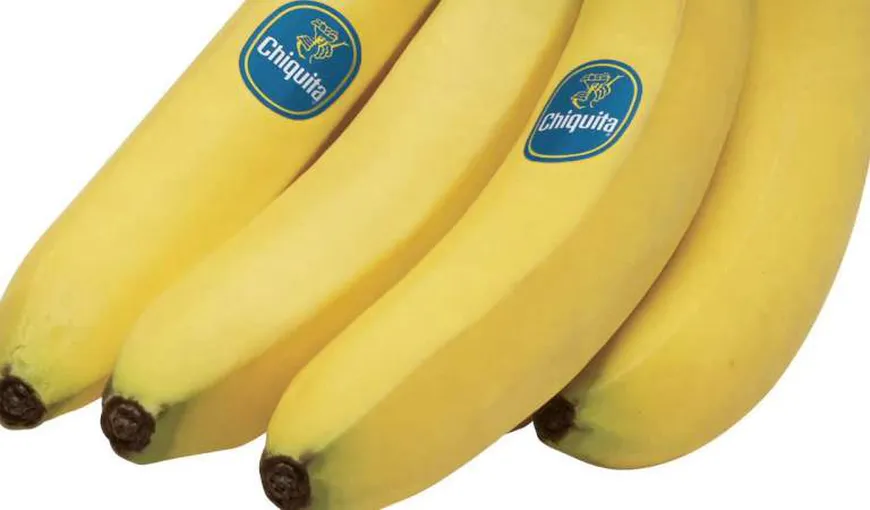 Mare atenţie. Toţi consumatorii de banane sunt în pericol. A fost plantată prima cultură de banane care creşte fără pământ