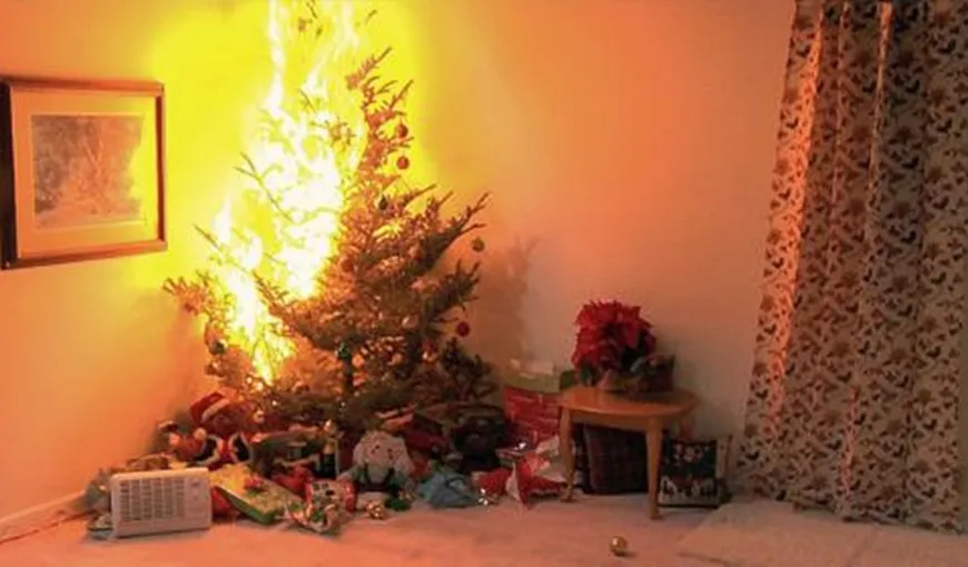 MINUNE DE CRĂCIUN LA TIMIŞOARA. Familie salvată de căţel după ce bradul de Crăciun a luat foc în sufragerie