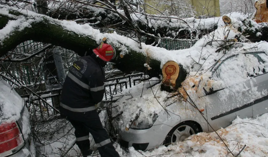 Vremea rea a făcut ravagii în 16 judeţe şi Capitală: Peste 150 de arbori doborâţi din cauza vântului şi a zăpezii, anunţă IGSU