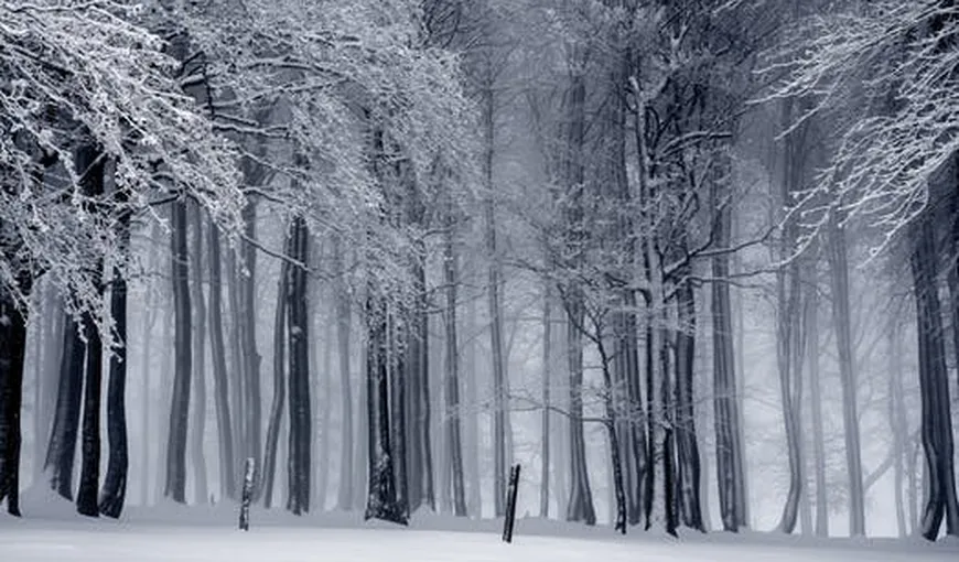 Solstiţiul de Iarnă 2018. Începe iarna astronomică, obiceiuri şi tradiţii în cea mai scurtă zi a anului