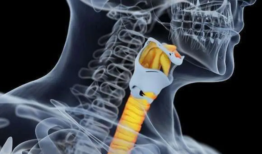 Premieră medicală: Prima trahee umană imprimată în 3D, transplantată în Taiwan