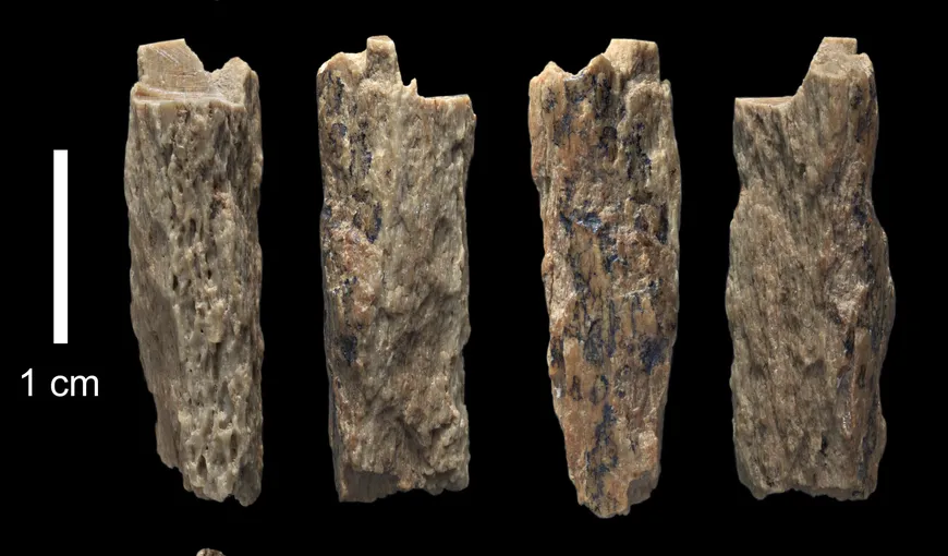 Descoperirile dintr-o peşteră siberiană aduc noi informaţii despre o specie enigmatică de hominizi