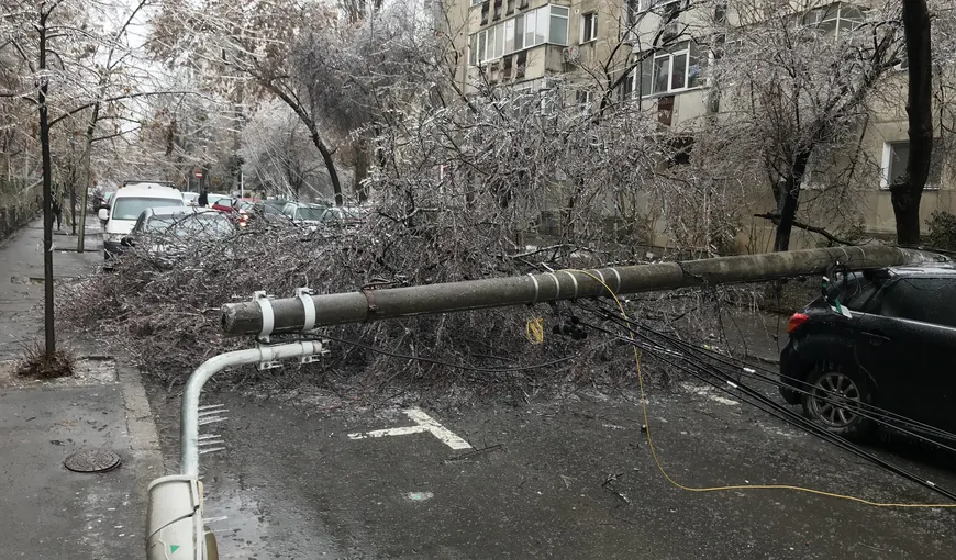 Vremea rea face ravagii în 18 județe și în București: copaci căzuți, mașini distruse, stâlpi și cabluri rupte