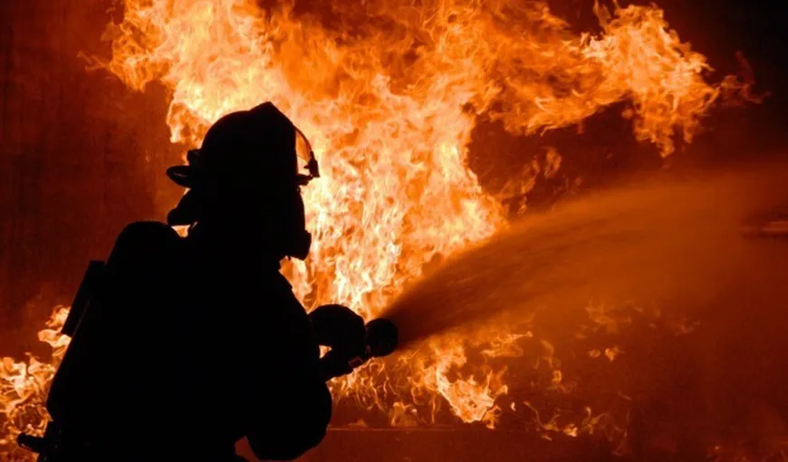Incendiu de vegetaţie puternic în Dâmboviţa. Focul s-a extins şi la două case