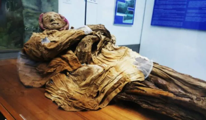 O mumie „atipică” descoperită în Ecuador ar putea explica modul în care a ajuns în Europa o boală gravă