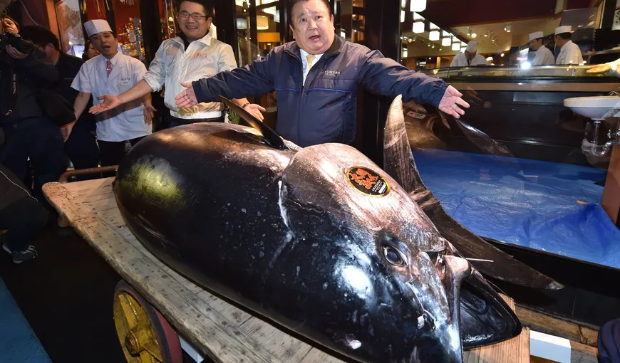 Cel mai scump peşte din lume: Cât a plătit patronul unui restaurant pentru un ton