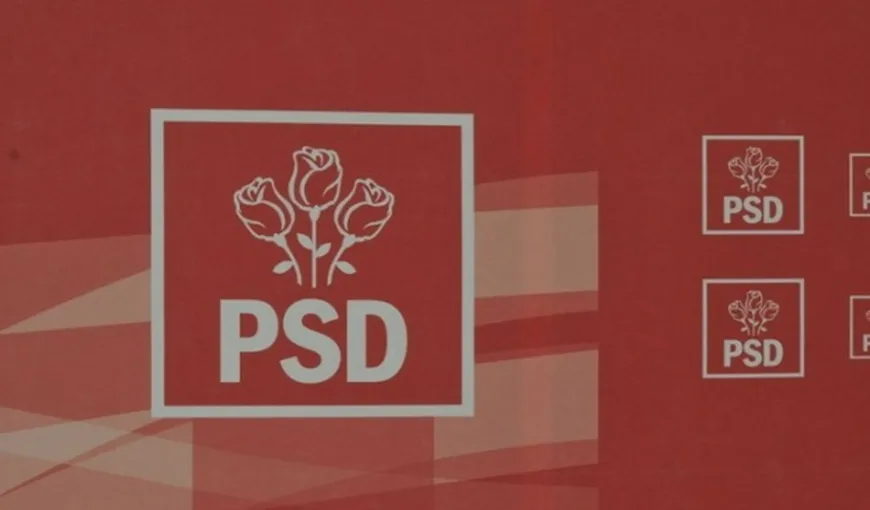PSD, atac la adresa PNL, pe tema măririi alocaţiilor pentru copii: „Duc o campanie mincinoasă”