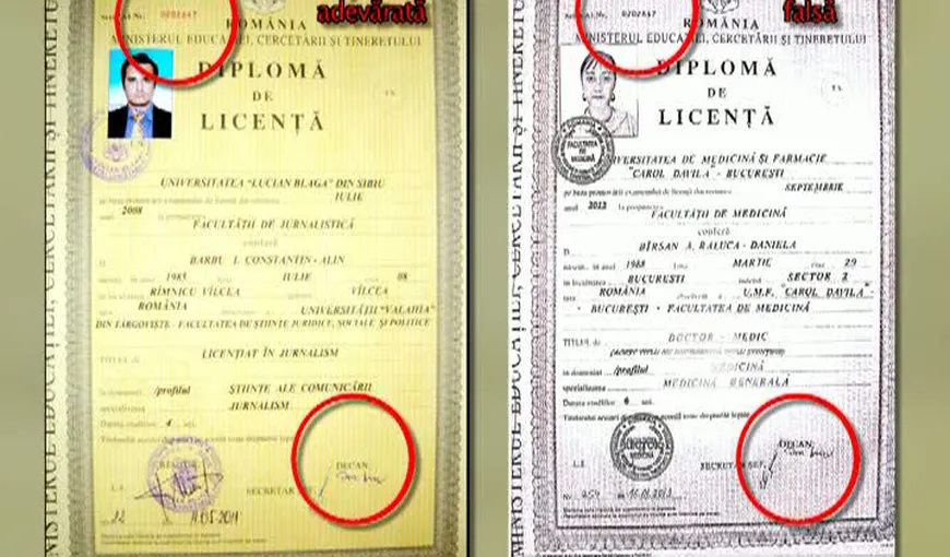 Diploma de licenţă a falsului medic de la Spitalul Judeţean Ilfov, identică cu cea a unui absolvent de jurnalism