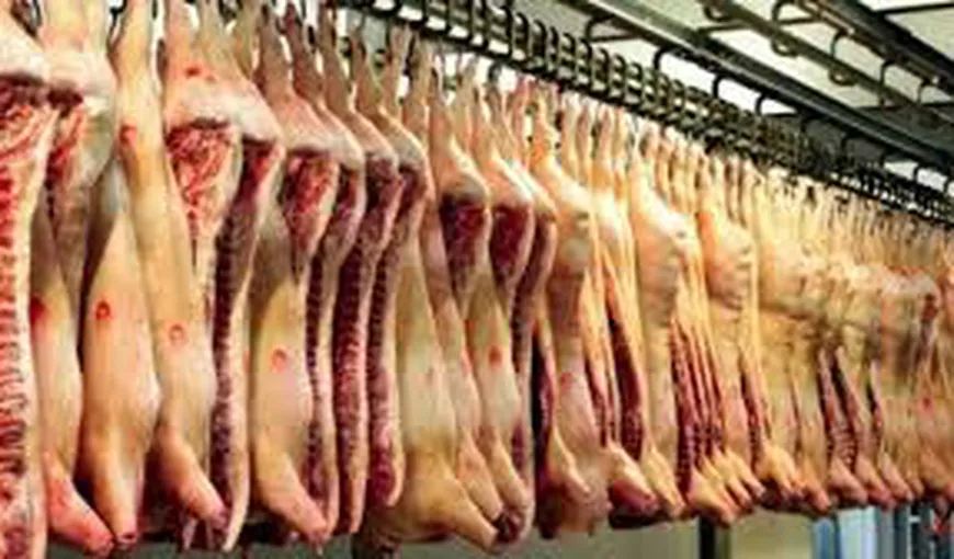 Peste o tonă de carne de porc din Ungaria, sub sechestru cu suspiciunea de infectare cu pesta porcină