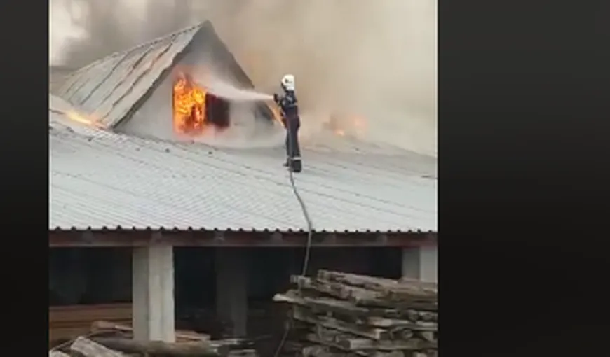 Incendiu puternic în Satu Mare. 17 pompieri intervin