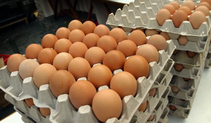 Dosar penal pentru patronii fermei de păsări de la Scorniceşti, care a livrat ouă contaminate cu Fipronil