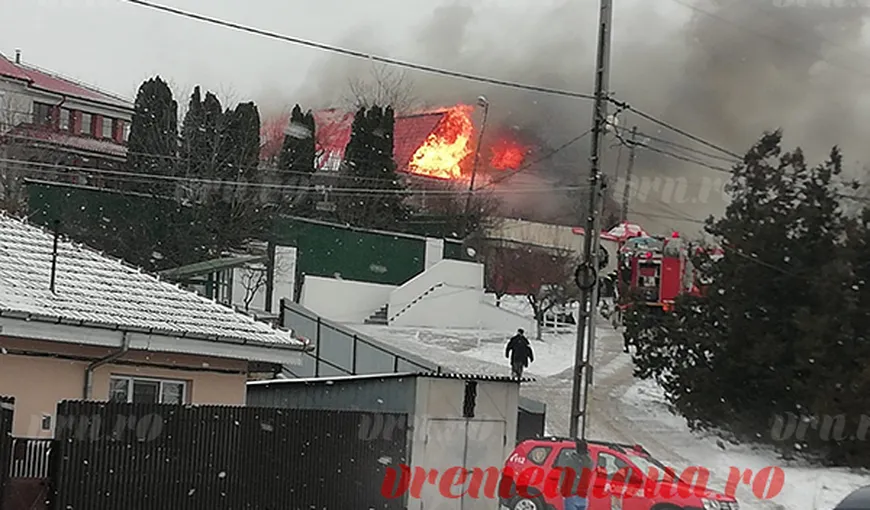 Incendiu violent lângă casa lui Adrian Porumboiu. Vila fostului arbitru, în pericol VIDEO