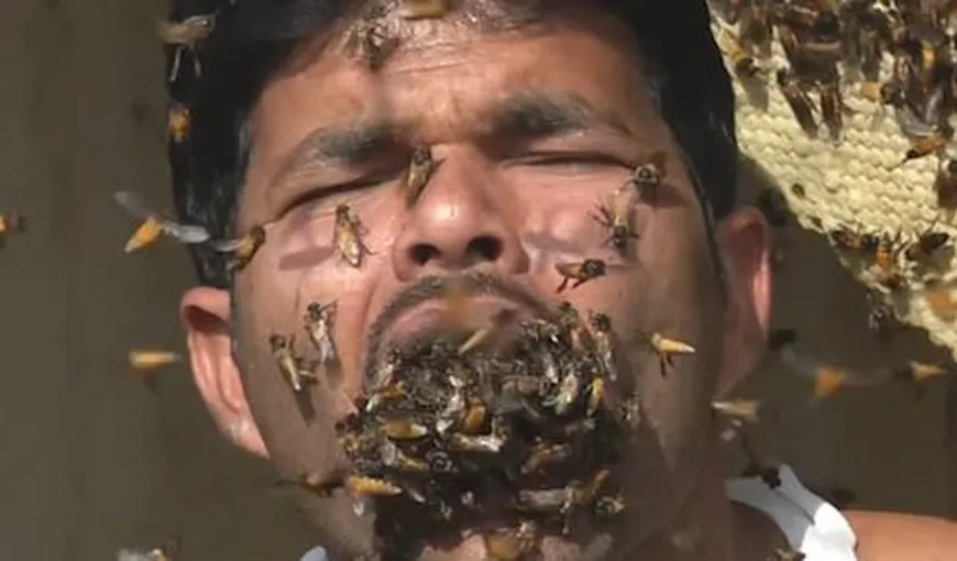 Imagini ireale, un bărbat îşi umple gura cu albine vii, iar alte câteva sute şi le bagă în sân. Cel mai inconştient apicultor VIDEO