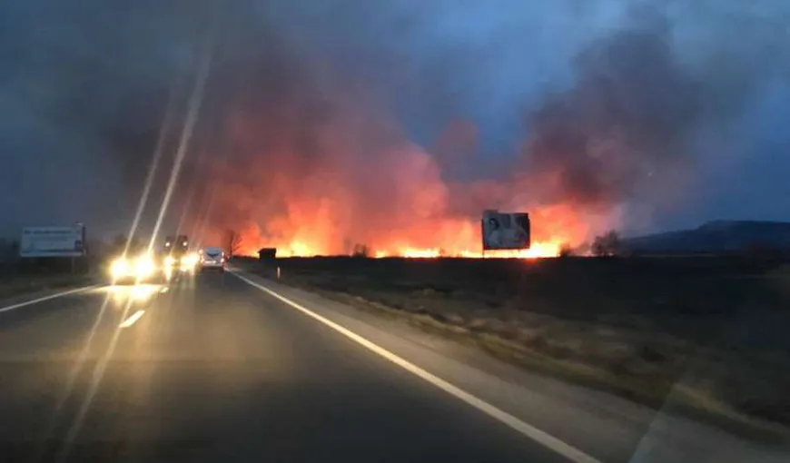 Incendiu de vegetaţie violent, la Braşov. DN 1 – blocat