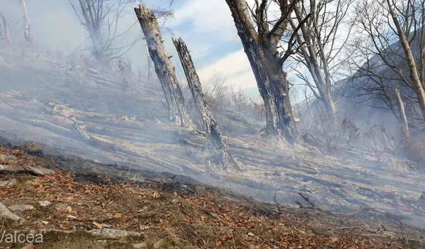Incendiu violent într-o pădure din Vâlcea: trei hectare de litieră sunt cuprinse de flăcări