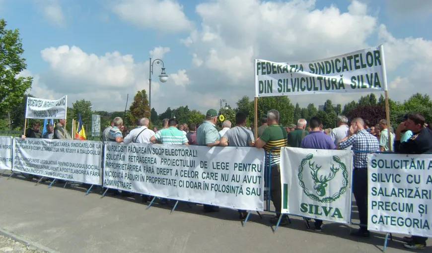 Federaţia Sindicatelor din Silvicultură Silva pichetează marţi Camera Deputaţilor