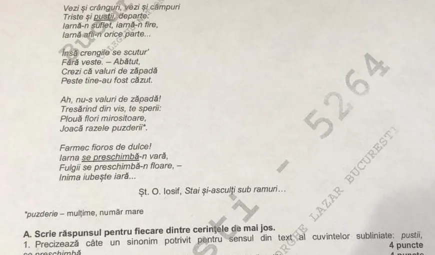 madman Refusal Dot BAREME ROMANA SIMULARE EVALUARE NATIONALA 2019 EDU.RO. Poezia, subiectul  care le-a dat de furcă