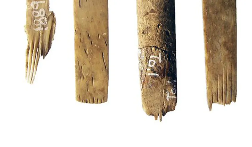 A fost descoperită cea mai veche trusă de tatuaj din lume. Are 2.700 de ani şi e făcută din oase de om