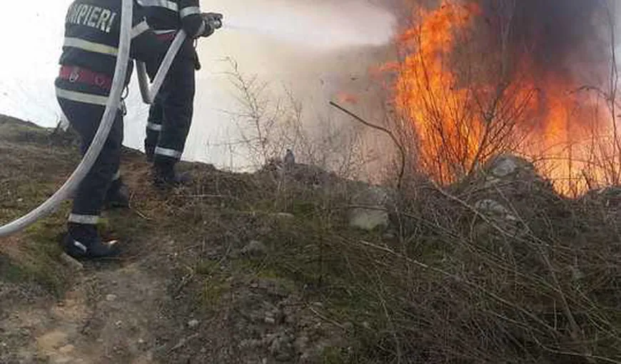 Incendiu de vegetaţie în Tulcea. Pompierii intervin pentru ca flăcările să nu ajungă la casele din zonă