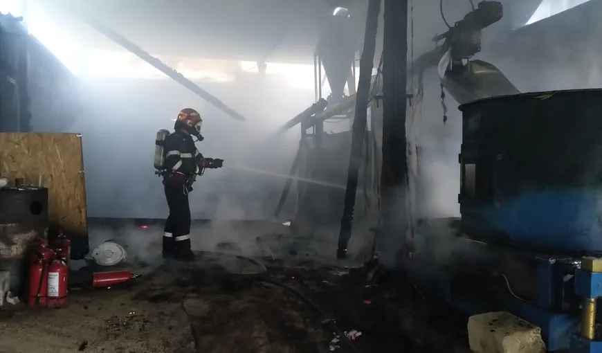 Incendiu la o fabrică de brichete şi peleţi din Comarnic