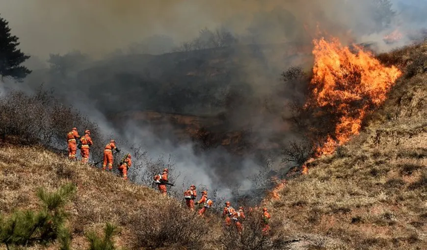 Incendiile de vegetaţie au ucis cel puţin 30 de pompieri, iar 700 se luptă în continuare cu focul