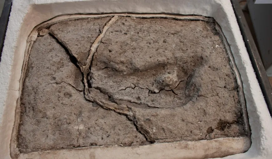 O amprentă de picior uman descoperită în Chile, cea mai veche de pe teritoriul celor două Americi