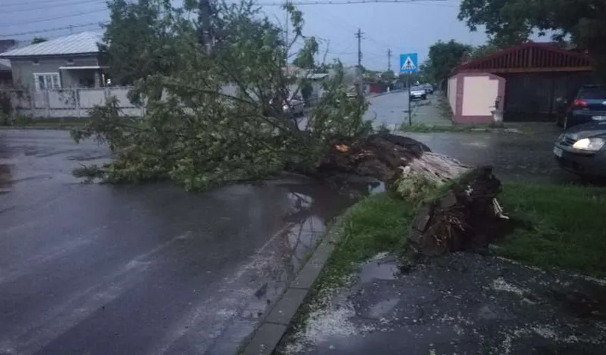 Vremea rea a făcut ravagii în ţară: drumuri blocate, stâlpi căzuţi, oraş fără electricitate
