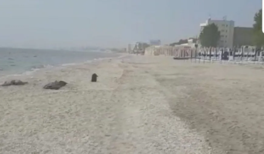 Moarte misterioasă, femeie găsită fără suflare pe plajă, la Mamaia