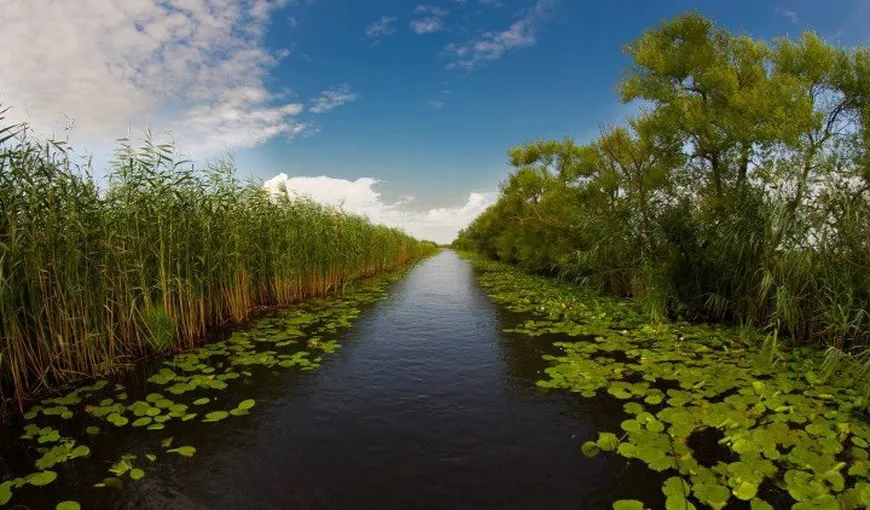 Incredibil! Delta Dunării poate deveni primul producător de peşte bio din Europa