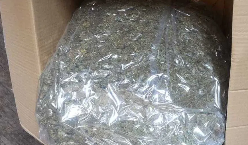 Doi bărbaţi, cercetaţi pentru trafic de droguri după ce au fost prinşi în flagrant cu aproape 3 kilograme de cannabis